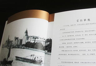 金融投资公司画册设计 金融投资画册设计 金融投资品牌设计 金融投资vi设计