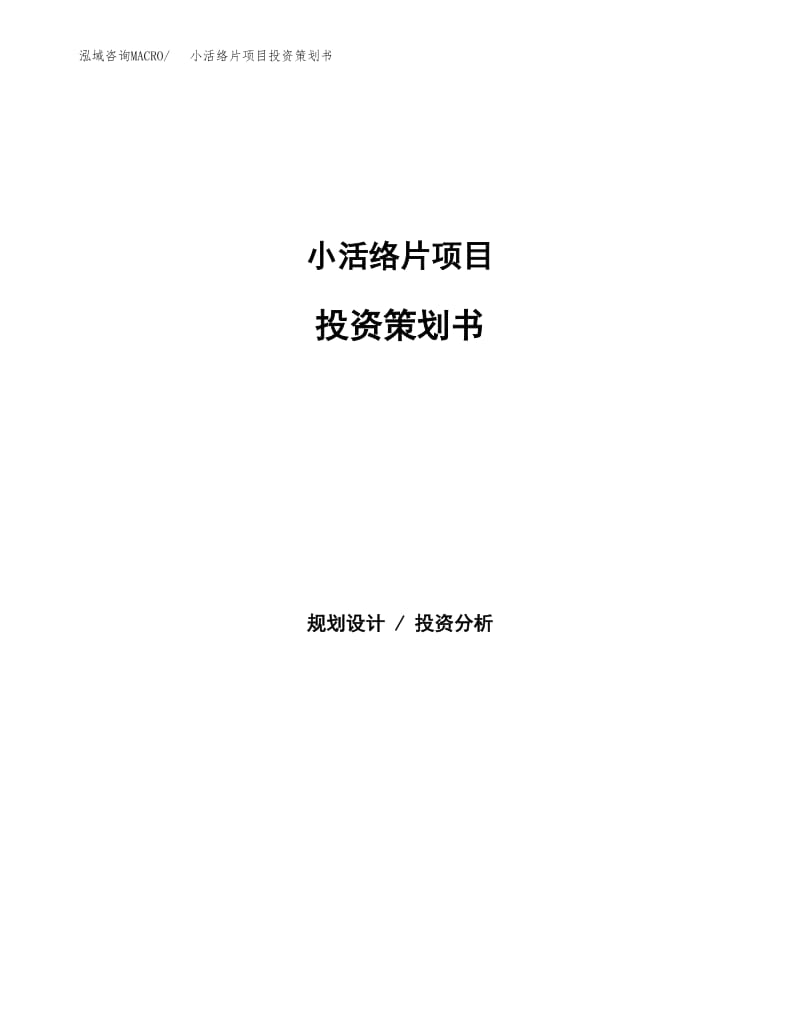 小活络片项目投资策划书